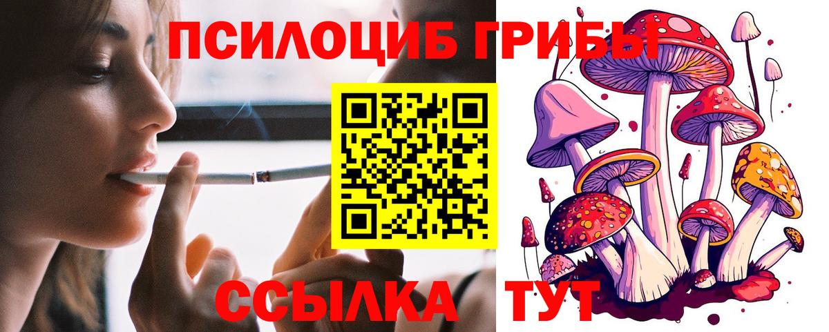 Керчь  сколько стоит  Вход с VPN  Псилоцибиновые грибы мухоморы  Галлюциногенные грибы Psilocybine cubensis 